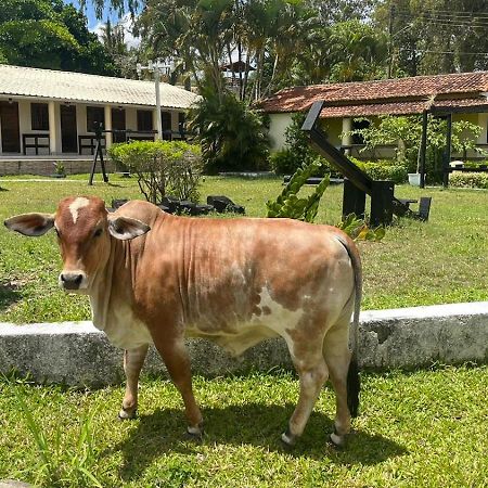 Hotel Fazenda Ceu Aberto Гравата Экстерьер фото