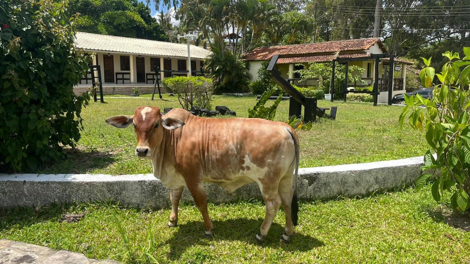 Hotel Fazenda Ceu Aberto Гравата Экстерьер фото